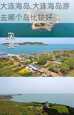 大连海岛,大连海岛游去哪个岛比较好-第1张图片-呼呼旅行网