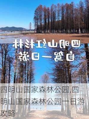 四明山国家森林公园,四明山国家森林公园一日游攻略-第3张图片-呼呼旅行网