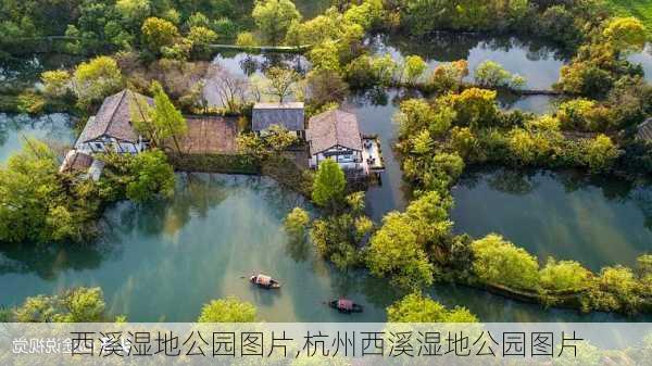 西溪湿地公园图片,杭州西溪湿地公园图片-第1张图片-呼呼旅行网