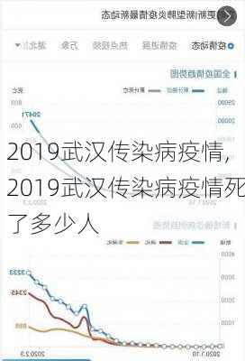 2019武汉传染病疫情,2019武汉传染病疫情死了多少人-第1张图片-呼呼旅行网