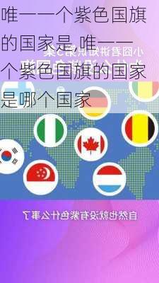 唯一一个紫色国旗的国家是,唯一一个紫色国旗的国家是哪个国家-第3张图片-呼呼旅行网