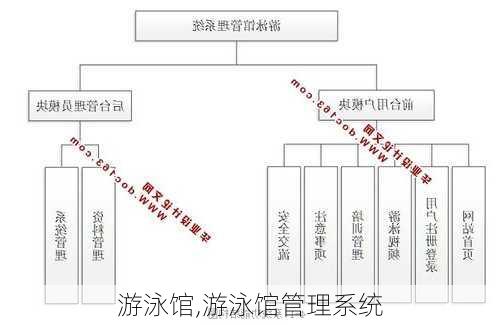 游泳馆,游泳馆管理系统-第1张图片-呼呼旅行网