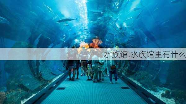 水族馆,水族馆里有什么-第1张图片-呼呼旅行网