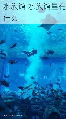 水族馆,水族馆里有什么-第3张图片-呼呼旅行网