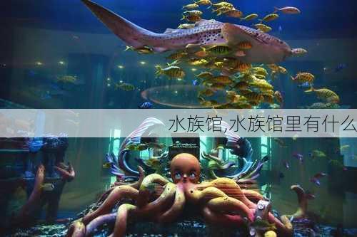 水族馆,水族馆里有什么-第2张图片-呼呼旅行网