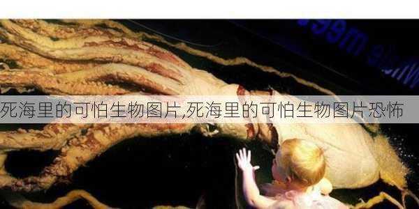 死海里的可怕生物图片,死海里的可怕生物图片恐怖-第1张图片-呼呼旅行网