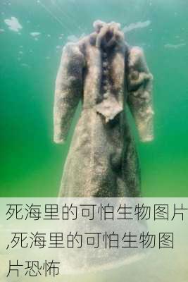 死海里的可怕生物图片,死海里的可怕生物图片恐怖-第3张图片-呼呼旅行网