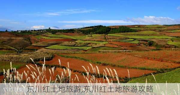 东川红土地旅游,东川红土地旅游攻略-第1张图片-呼呼旅行网