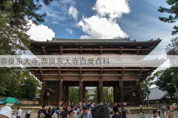 奈良东大寺,奈良东大寺百度百科-第2张图片-呼呼旅行网