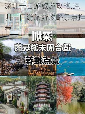 深圳一日游旅游攻略,深圳一日游旅游攻略景点推荐-第3张图片-呼呼旅行网