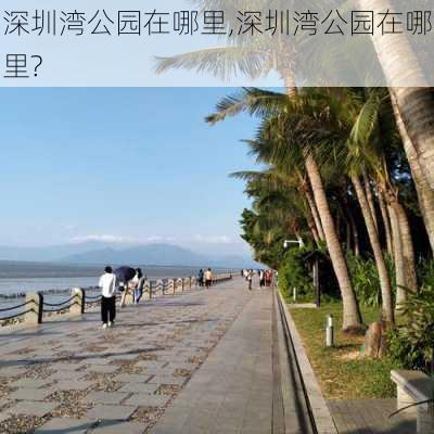 深圳湾公园在哪里,深圳湾公园在哪里?