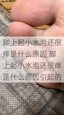 脚上起小水泡还很痒是什么原因,脚上起小水泡还很痒是什么原因引起的-第1张图片-呼呼旅行网