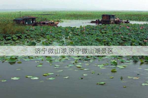 济宁微山湖,济宁微山湖景区-第3张图片-呼呼旅行网