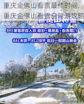 重庆金佛山看雪最佳时间,重庆金佛山看雪自驾游攻略