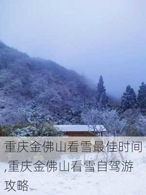 重庆金佛山看雪最佳时间,重庆金佛山看雪自驾游攻略-第3张图片-呼呼旅行网