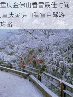 重庆金佛山看雪最佳时间,重庆金佛山看雪自驾游攻略-第2张图片-呼呼旅行网