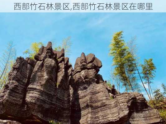 西部竹石林景区,西部竹石林景区在哪里-第1张图片-呼呼旅行网