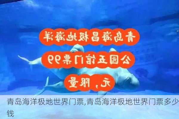 青岛海洋极地世界门票,青岛海洋极地世界门票多少钱-第3张图片-呼呼旅行网