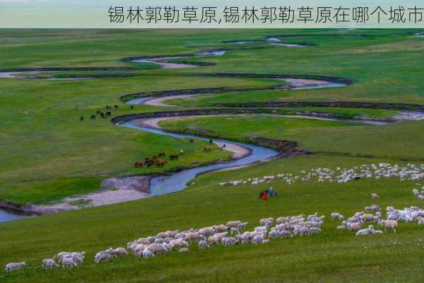 锡林郭勒草原,锡林郭勒草原在哪个城市-第2张图片-呼呼旅行网