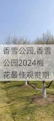 香雪公园,香雪公园2024梅花最佳观赏期-第3张图片-呼呼旅行网