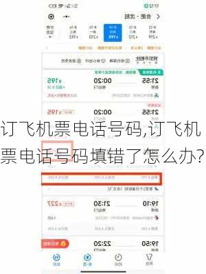 订飞机票电话号码,订飞机票电话号码填错了怎么办?-第2张图片-呼呼旅行网
