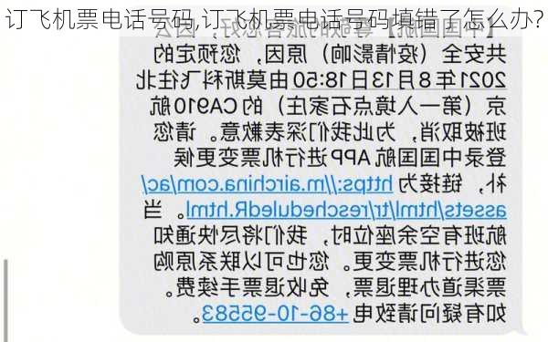 订飞机票电话号码,订飞机票电话号码填错了怎么办?-第1张图片-呼呼旅行网