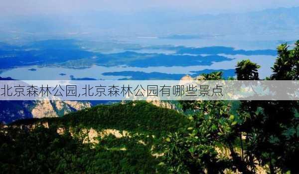 北京森林公园,北京森林公园有哪些景点-第2张图片-呼呼旅行网