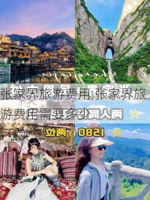 张家界旅游费用,张家界旅游费用需要多少-第3张图片-呼呼旅行网