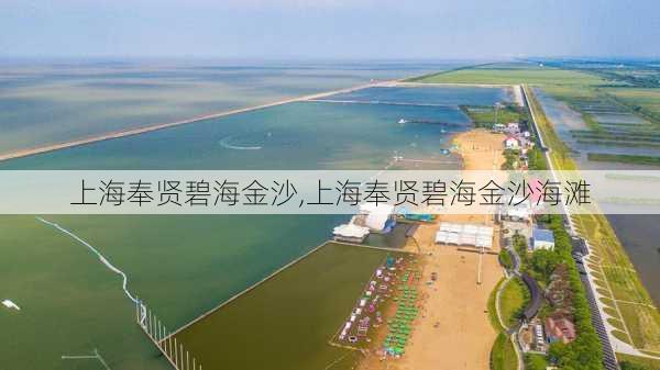 上海奉贤碧海金沙,上海奉贤碧海金沙海滩-第3张图片-呼呼旅行网