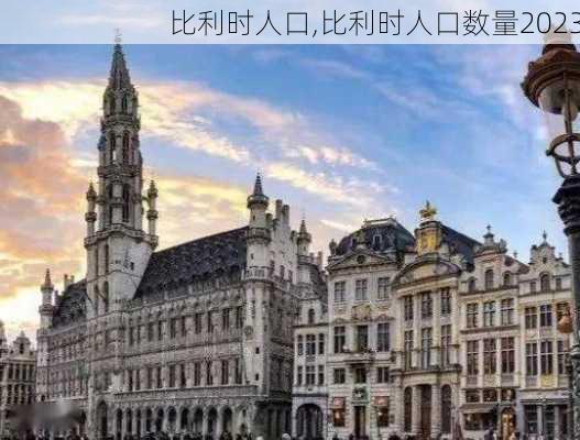 比利时人口,比利时人口数量2023-第2张图片-呼呼旅行网