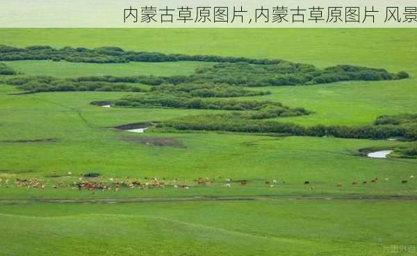 内蒙古草原图片,内蒙古草原图片 风景-第3张图片-呼呼旅行网