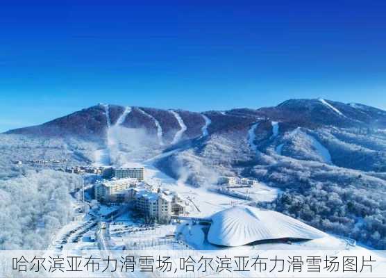 哈尔滨亚布力滑雪场,哈尔滨亚布力滑雪场图片-第1张图片-呼呼旅行网