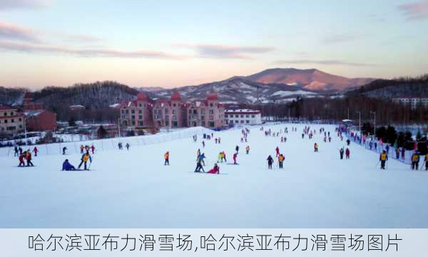 哈尔滨亚布力滑雪场,哈尔滨亚布力滑雪场图片-第2张图片-呼呼旅行网