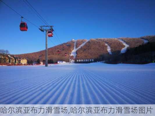 哈尔滨亚布力滑雪场,哈尔滨亚布力滑雪场图片-第3张图片-呼呼旅行网