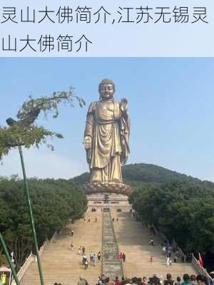 灵山大佛简介,江苏无锡灵山大佛简介-第3张图片-呼呼旅行网