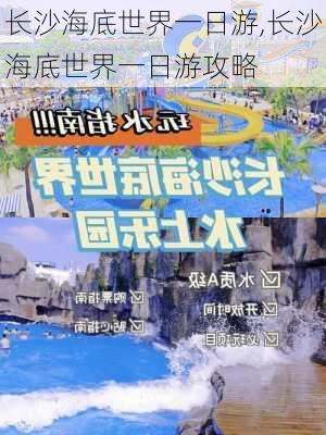 长沙海底世界一日游,长沙海底世界一日游攻略-第3张图片-呼呼旅行网