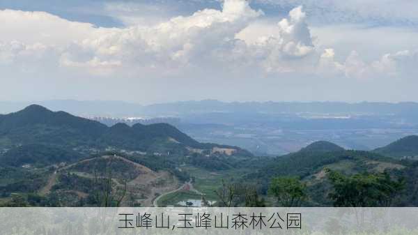 玉峰山,玉峰山森林公园-第2张图片-呼呼旅行网