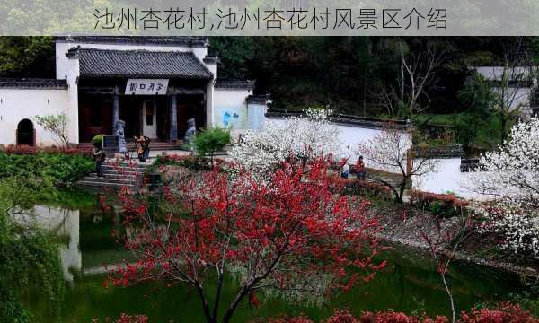 池州杏花村,池州杏花村风景区介绍-第1张图片-呼呼旅行网