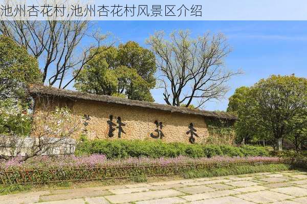 池州杏花村,池州杏花村风景区介绍-第2张图片-呼呼旅行网