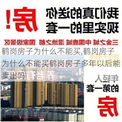 鹤岗房子为什么不能买,鹤岗房子为什么不能买鹤岗房子多年以后能卖出吗-第2张图片-呼呼旅行网