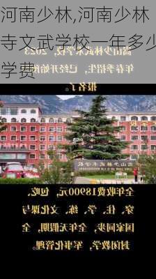 河南少林,河南少林寺文武学校一年多少学费-第3张图片-呼呼旅行网