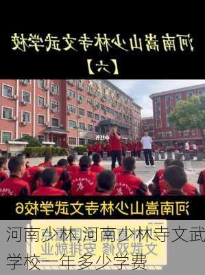 河南少林,河南少林寺文武学校一年多少学费-第2张图片-呼呼旅行网