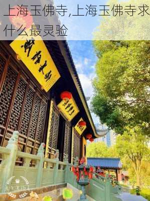 上海玉佛寺,上海玉佛寺求什么最灵验-第3张图片-呼呼旅行网