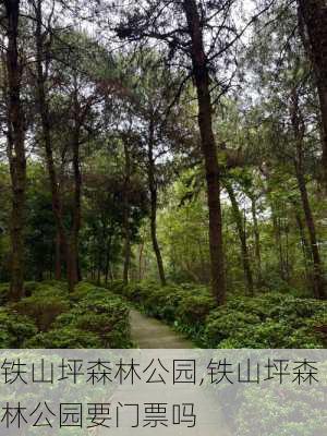 铁山坪森林公园,铁山坪森林公园要门票吗-第3张图片-呼呼旅行网