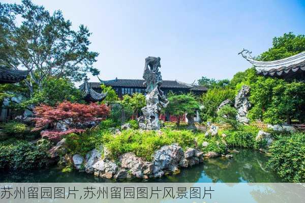 苏州留园图片,苏州留园图片风景图片-第1张图片-呼呼旅行网