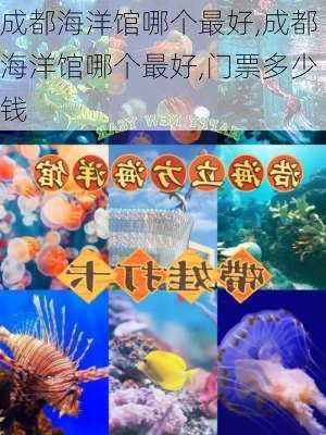 成都海洋馆哪个最好,成都海洋馆哪个最好,门票多少钱-第2张图片-呼呼旅行网