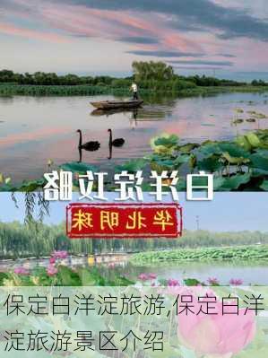 保定白洋淀旅游,保定白洋淀旅游景区介绍-第1张图片-呼呼旅行网