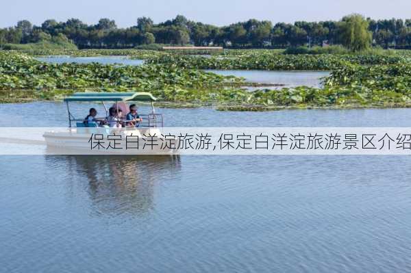 保定白洋淀旅游,保定白洋淀旅游景区介绍-第2张图片-呼呼旅行网