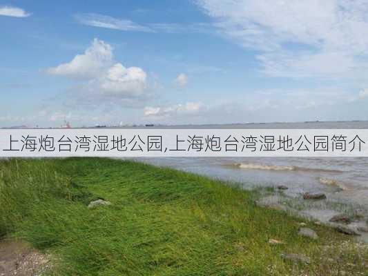 上海炮台湾湿地公园,上海炮台湾湿地公园简介-第2张图片-呼呼旅行网