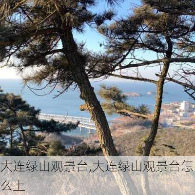 大连绿山观景台,大连绿山观景台怎么上-第3张图片-呼呼旅行网